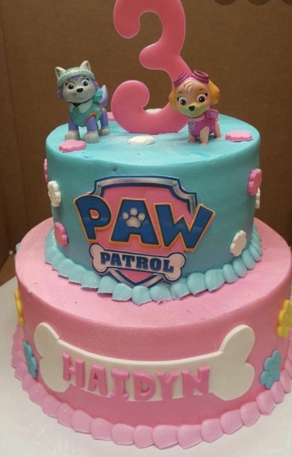 Paw-Patrol-Torte in Rosa & Türkis